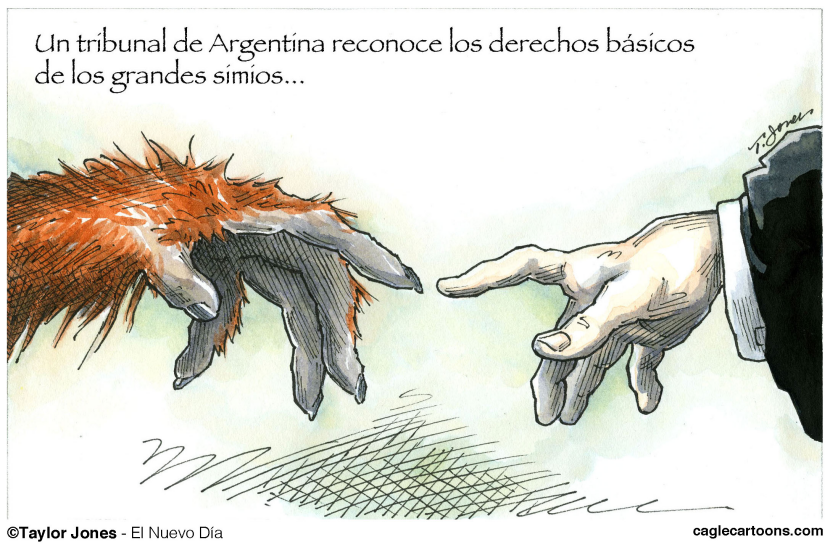 Justicia para los orangutanes - COLOR