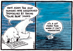 POLAR BEAR SWIMS by Ingrid Rice