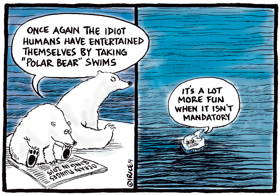 Polar Bear Swims