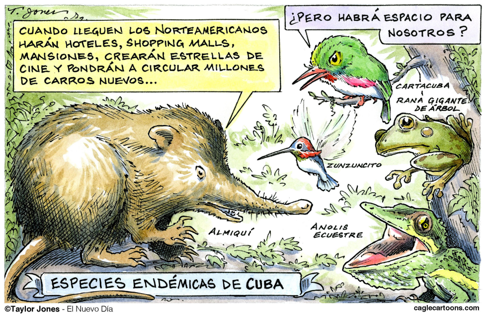 Problemas en el Paraíso Cubano - COLOR