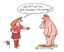 BIOMASS by Arend Van Dam