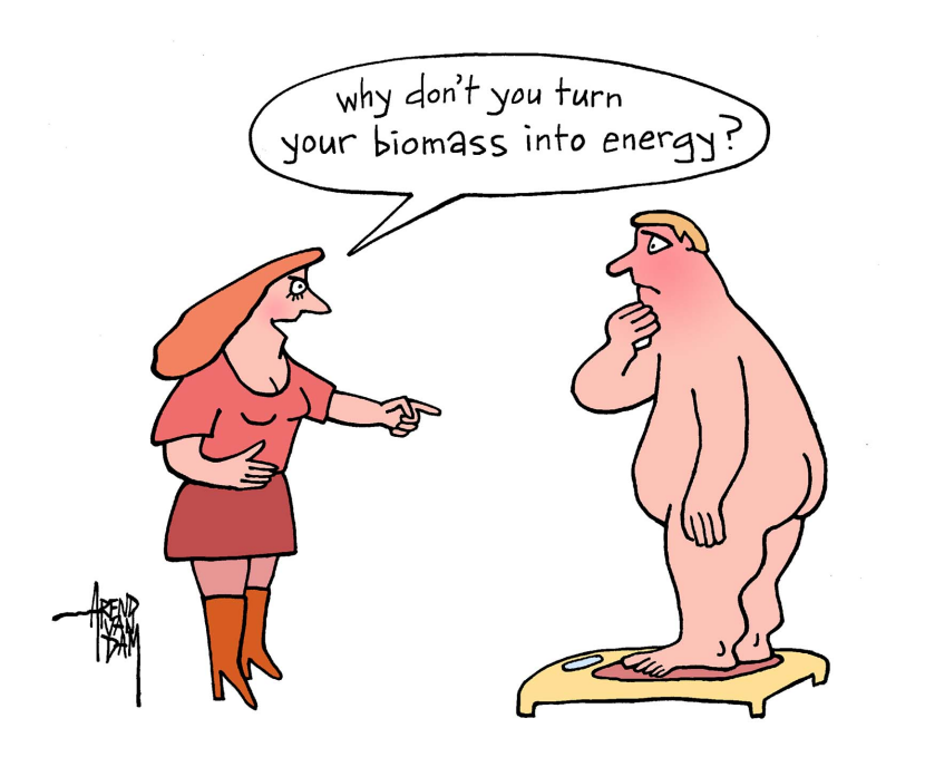 biomass