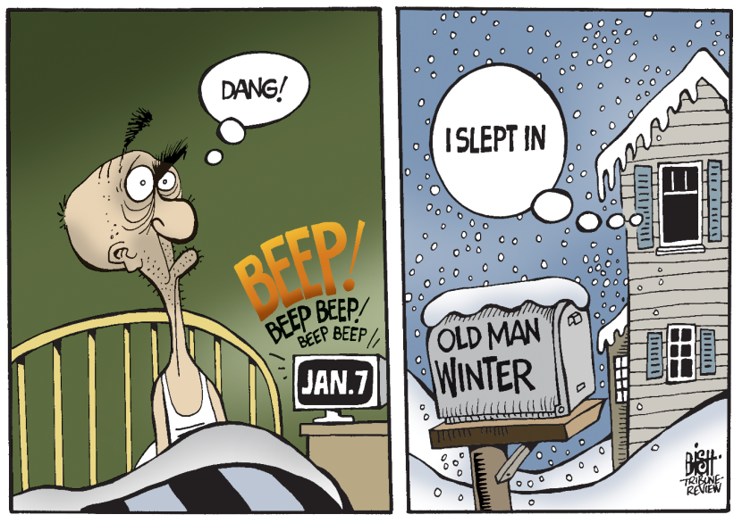 WINTER AWAKENS, COLOR