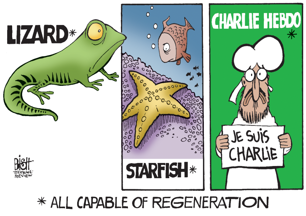 CHARLIE HEBDO RETURNS, COLOR