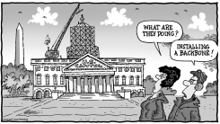 CAPITOL DOME RESTORATION by Bob Englehart