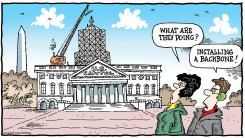 CAPITOL DOME RESTORATION by Bob Englehart
