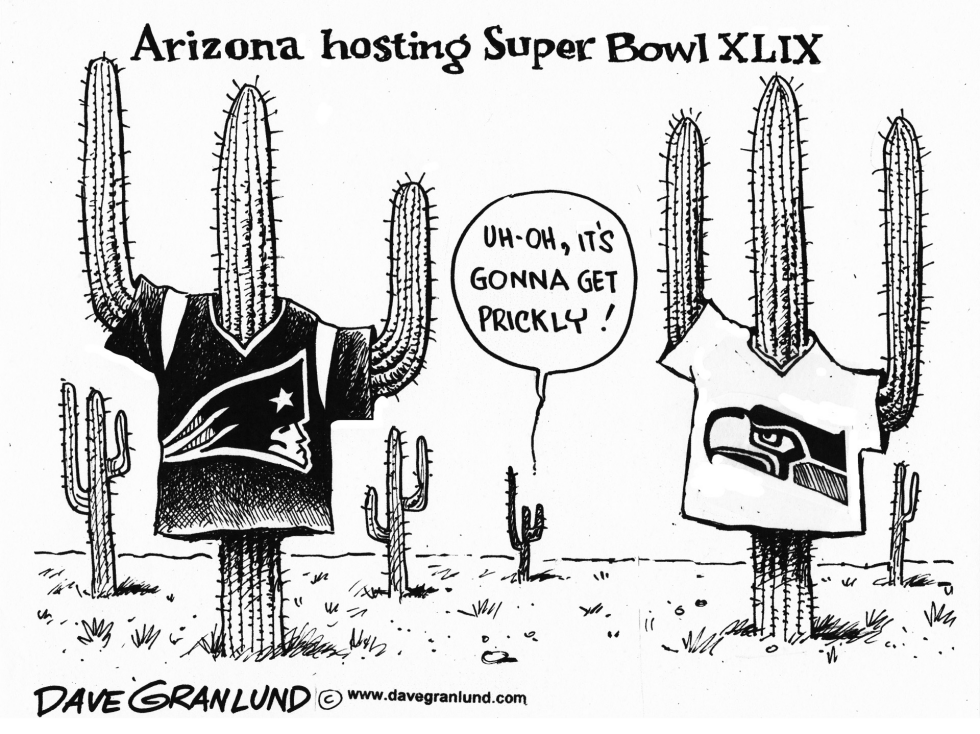  SUPER BOWL XLIX by Dave Granlund