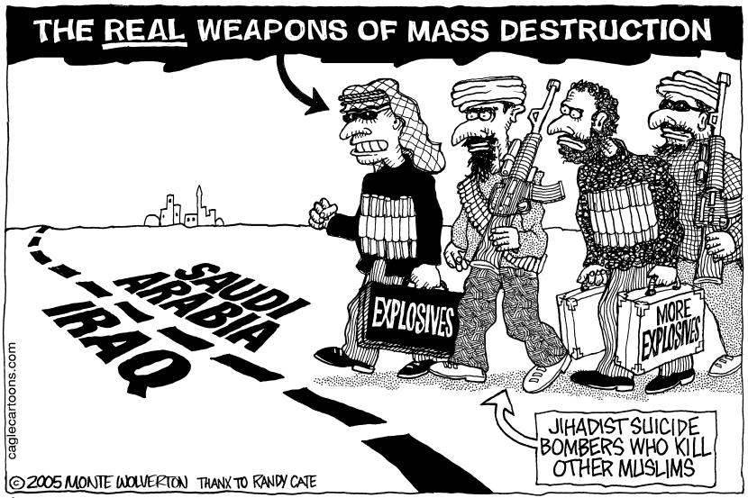 The Real WMDs