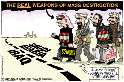THE REAL WMDS by Monte Wolverton