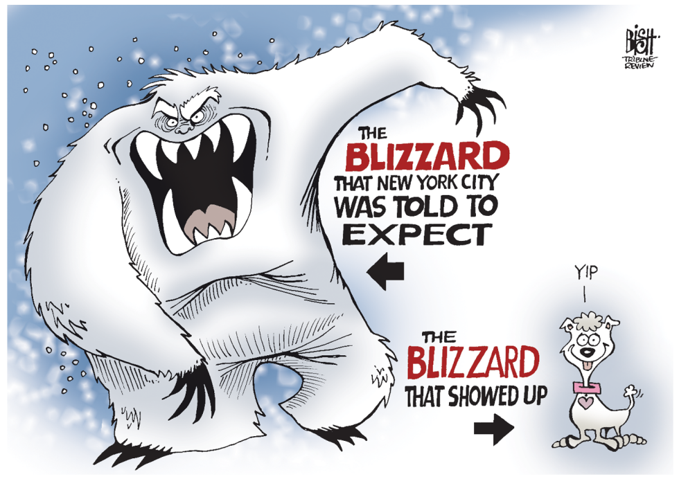 NYC BLIZZARD FIZZLE, COLOR
