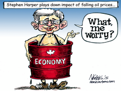 OIL IMPACT by Steve Nease