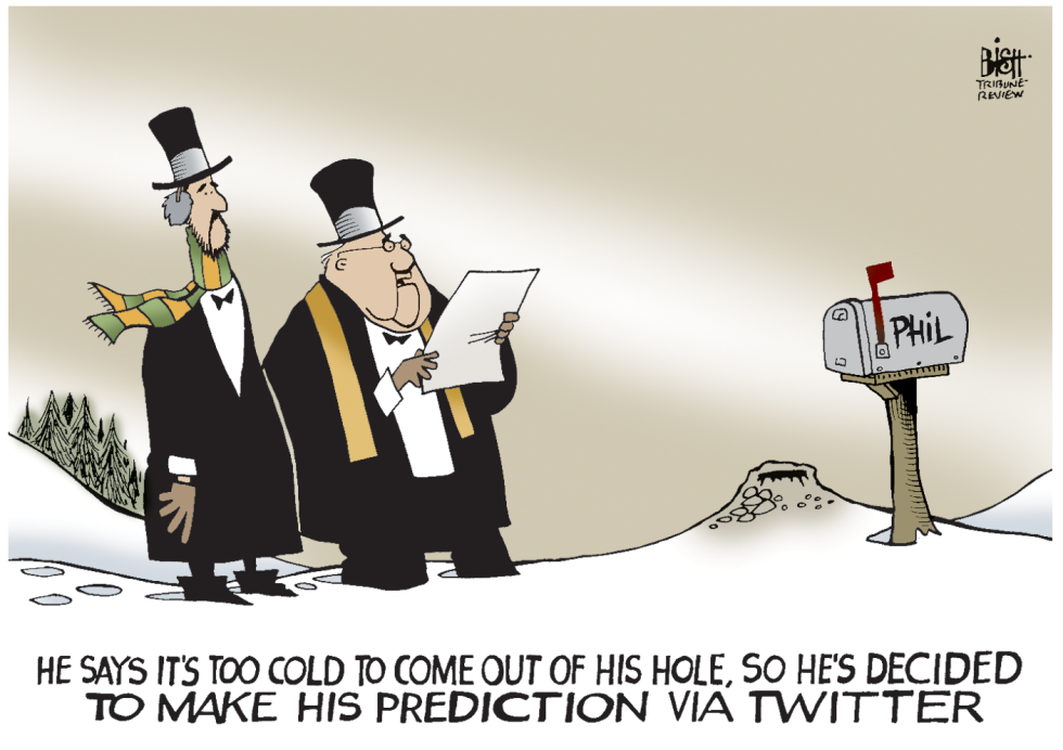 GROUNDHOG TWEETS, COLOR