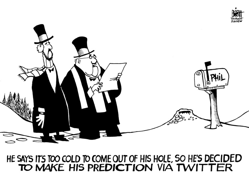 GROUNDHOG TWEETS, B/W