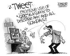 FLAG ON THE WORD-PLAY BW by John Cole