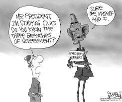 OBAMA'S 3 BRANCHES OF GOVT by Gary McCoy