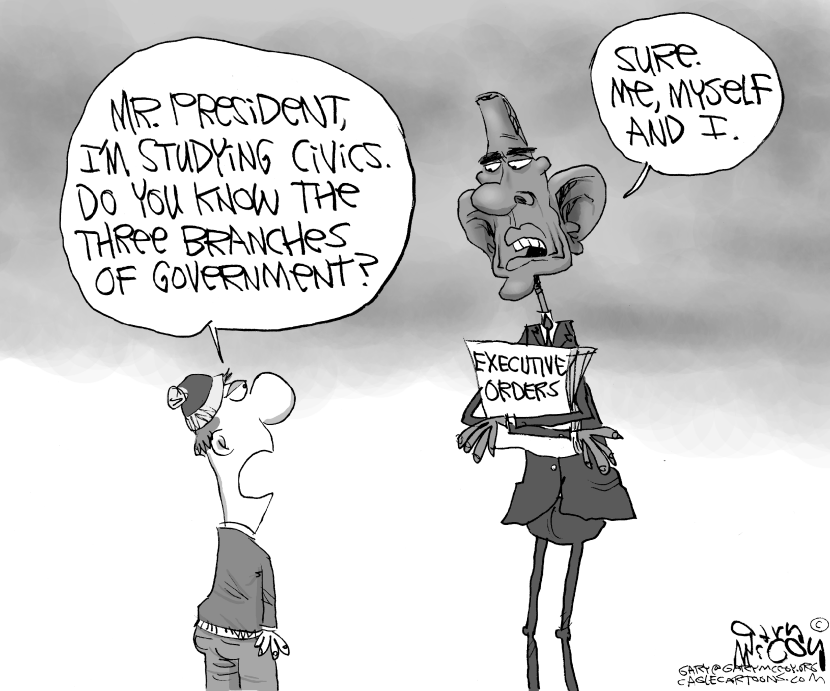 Obama's 3 Branches of Govt