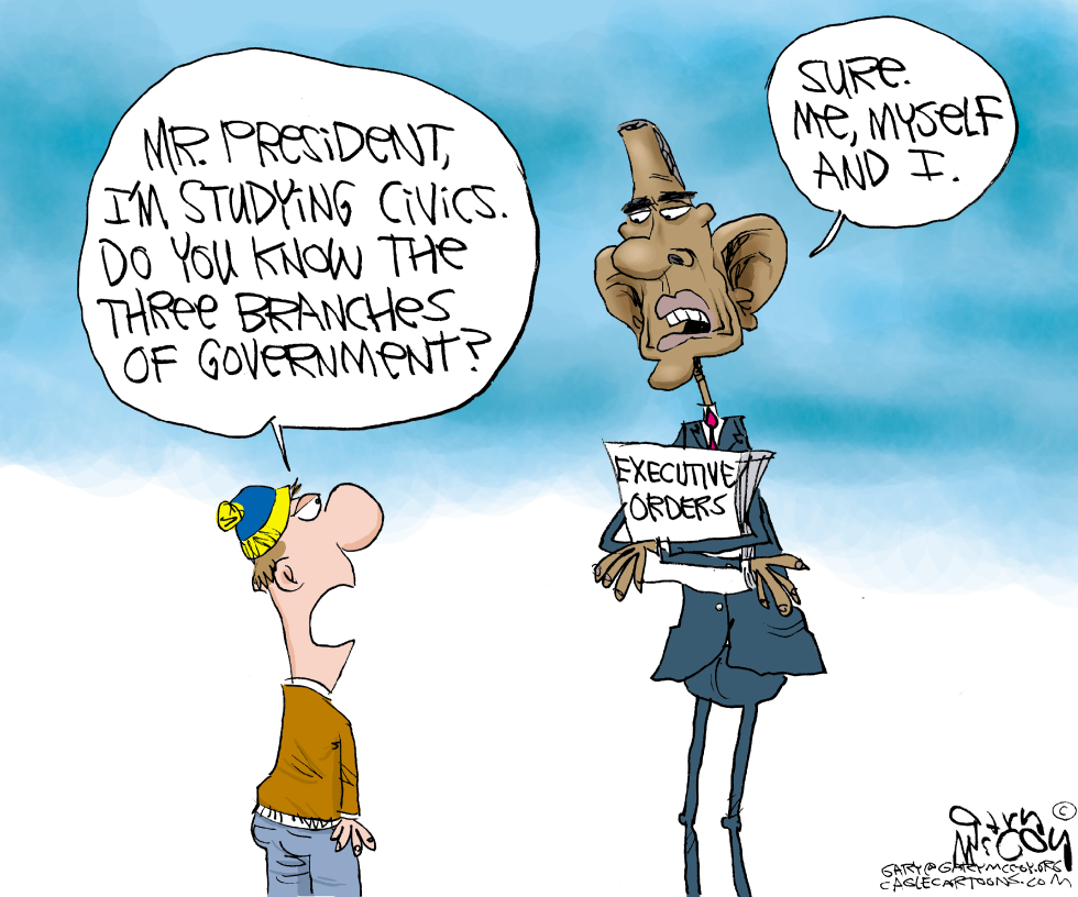 Obama's 3 Branches of Govt COLOR
