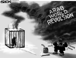 ISIS FLAMEOUT by Steve Sack