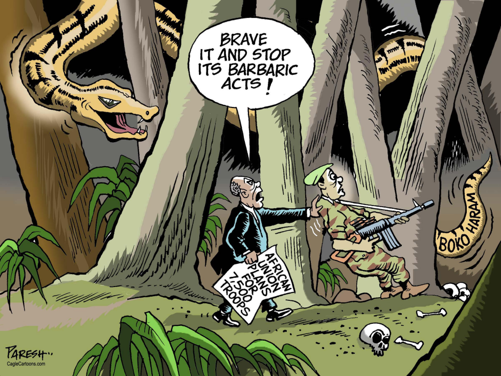 Fighting Boko Haram