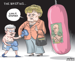 THE BRIEFING by Graeme MacKay
