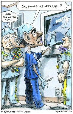 OBAMA SURGICAL STRIKE -  by Taylor Jones