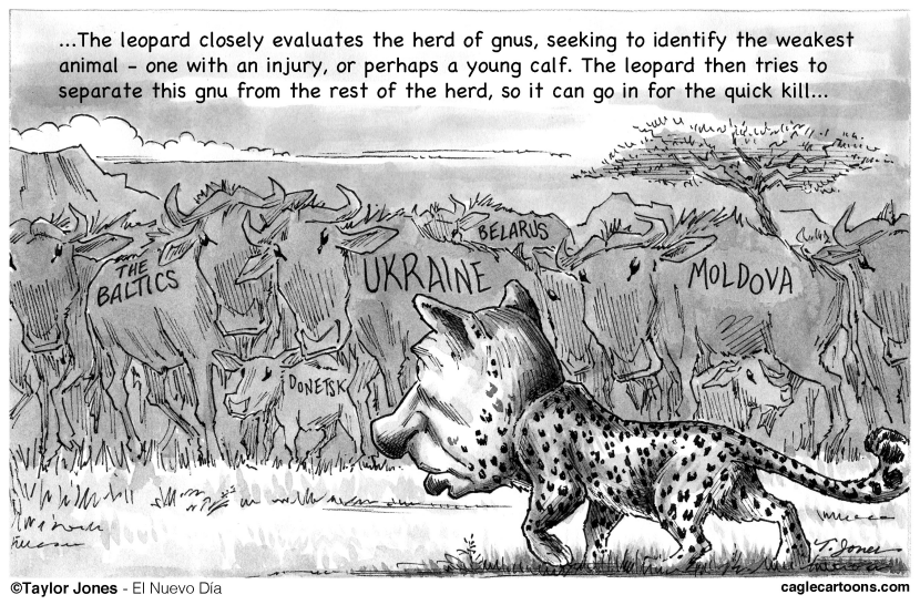 Putin stalks his prey