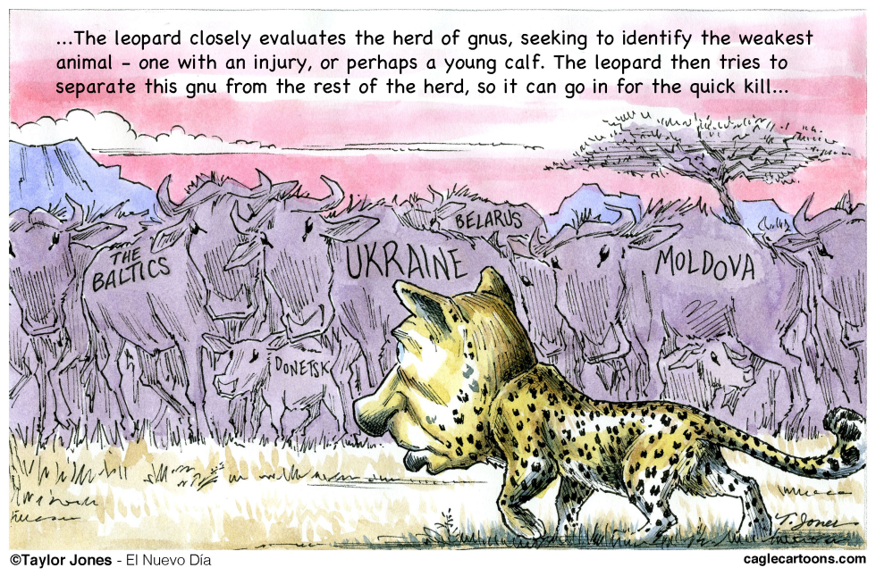 Putin stalks his prey - COLOR