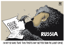 UKRAINE CEASE FIRE,  by Randy Bish