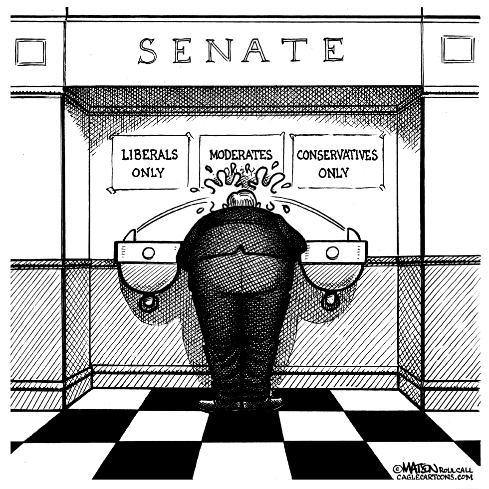  SEGREGATED SENATE by RJ Matson