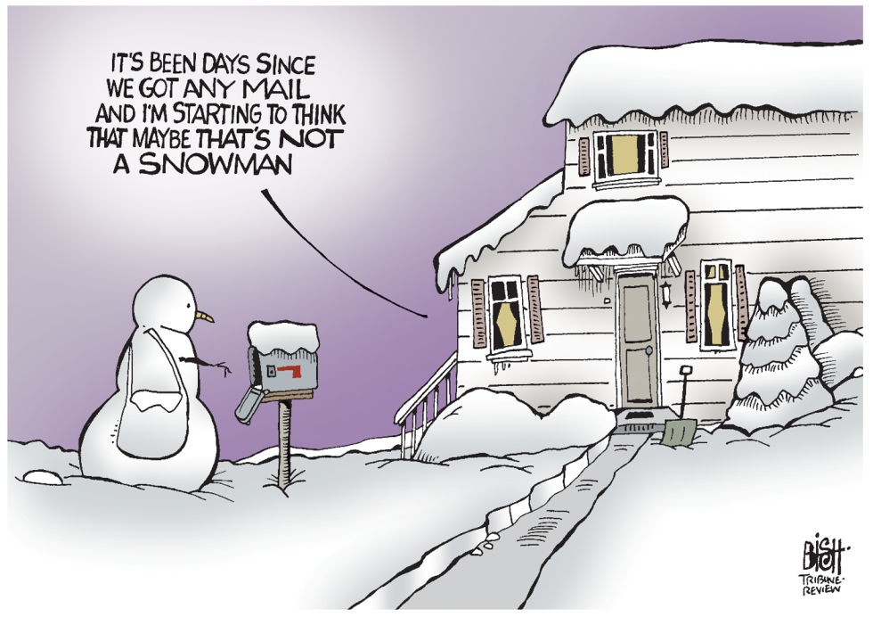 SNOW, COLOR