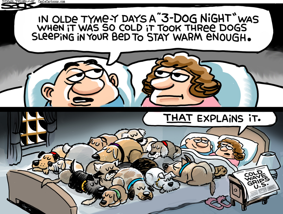 Hot Dogs COLOR