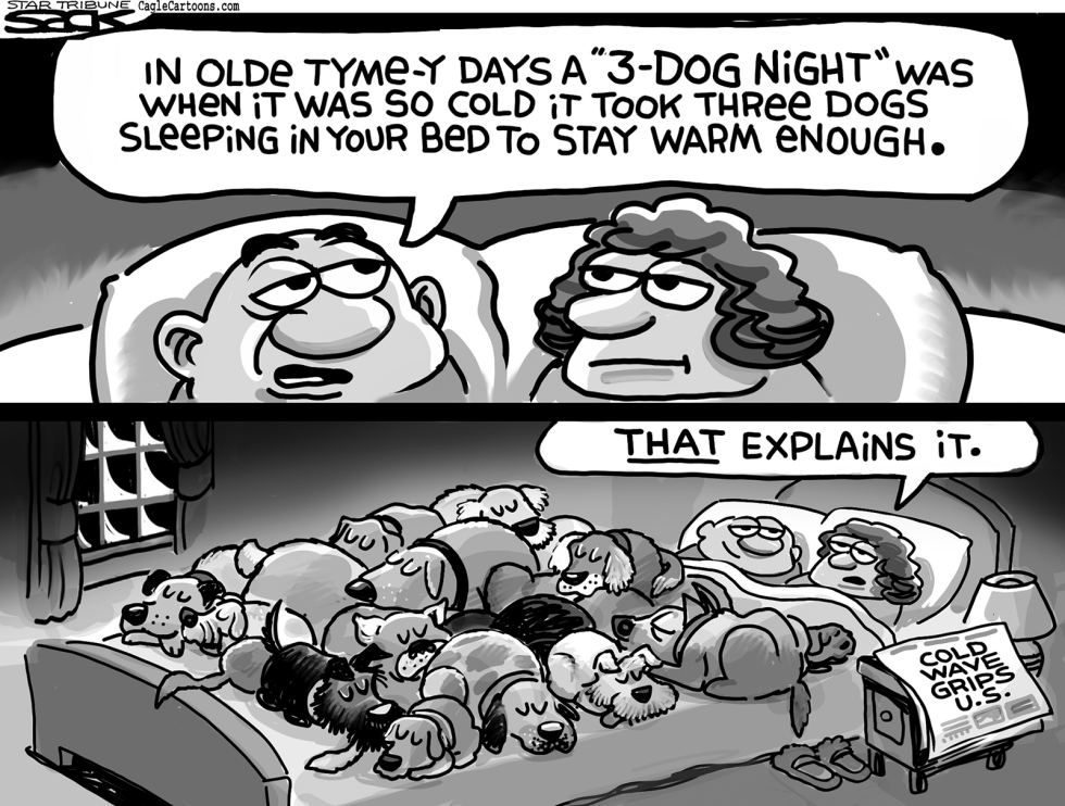Hot Dogs