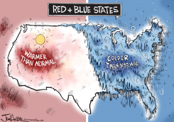 COLD by Joe Heller