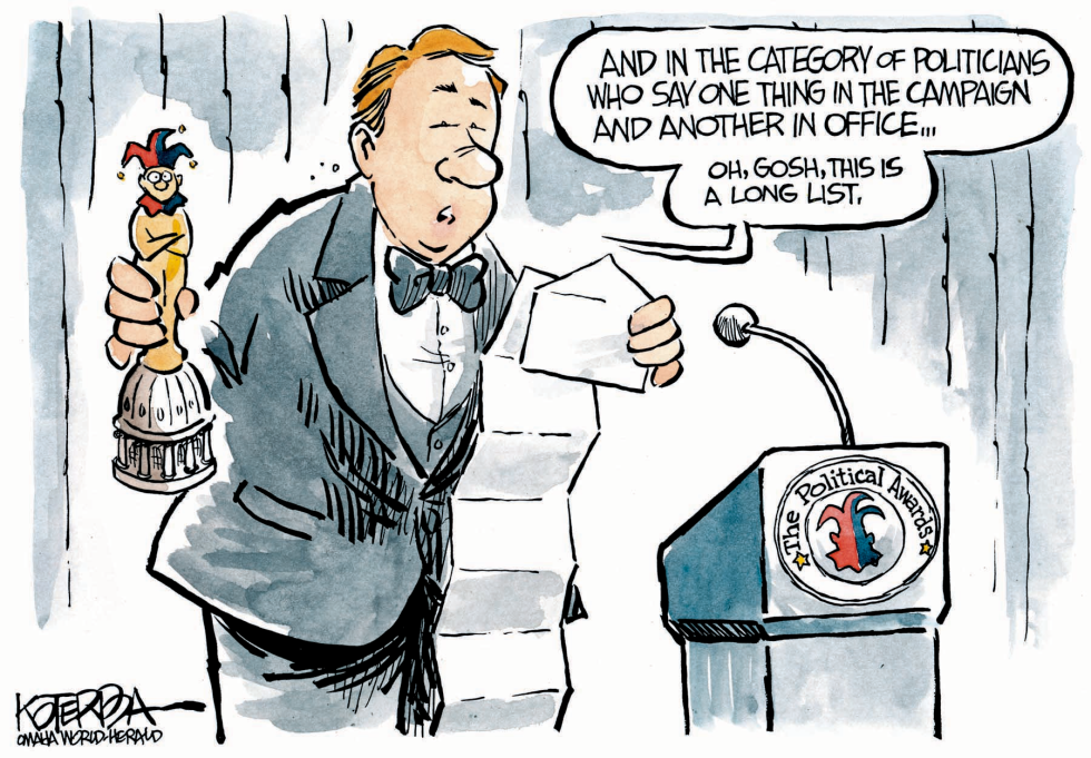 The Political Awards