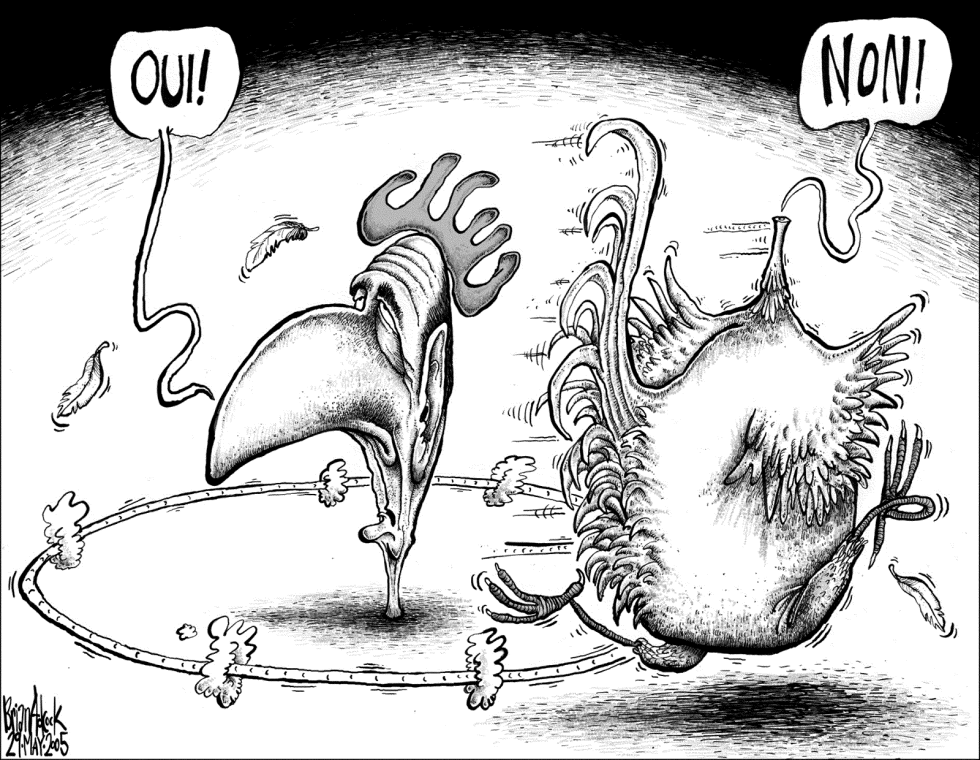 French Referendum