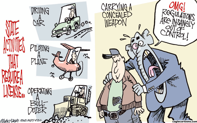 Concealed Carry Permits COLOR
