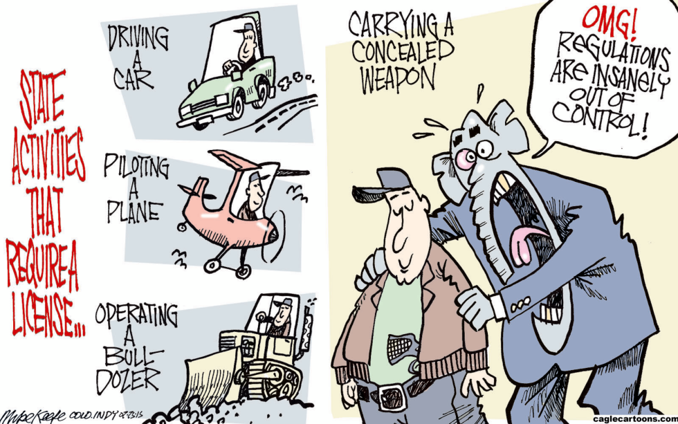 Concealed Carry Permits COLOR