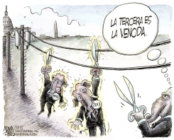 APAGO POLITICO /  by Adam Zyglis