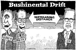 BUSHINENTAL DRIFT by Monte Wolverton