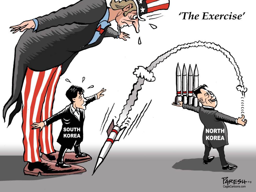 Military exercise COLOR
