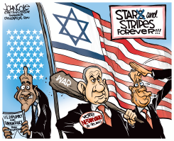 STAR AND STRIPES FOREVER  by John Cole