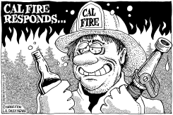 LOCAL-CA CAL FIRE RESPONDS by Monte Wolverton