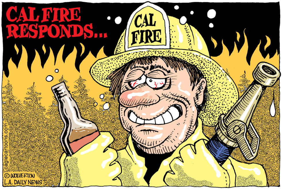 LOCAL-CA Cal Fire Responds COLOR
