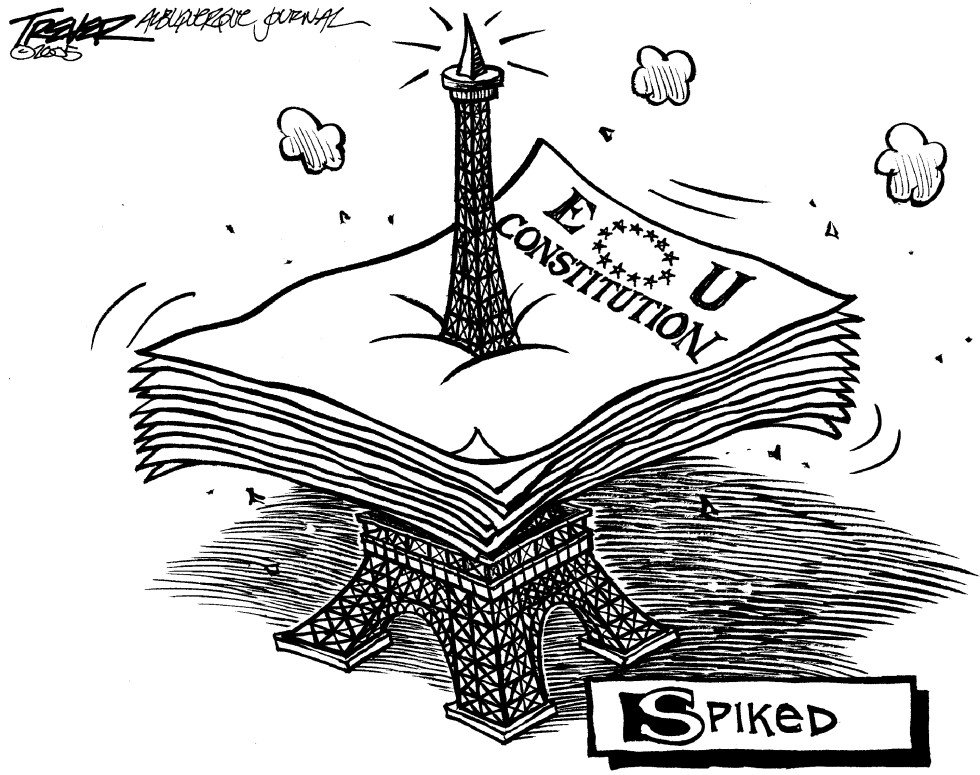 French EU Vote