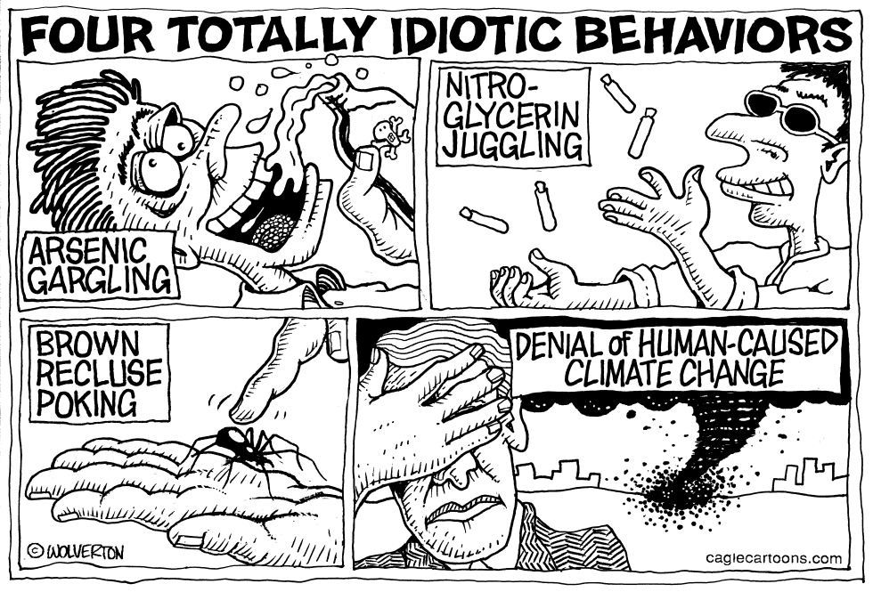 Idiotic Climate Change Denial