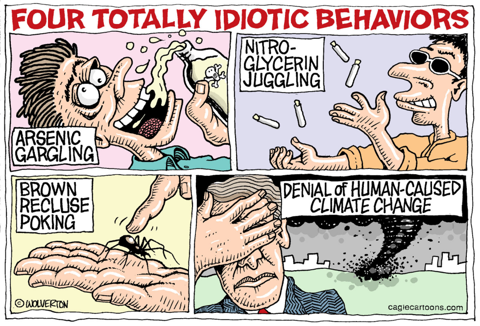  IDIOTIC CLIMATE CHANGE DENIAL by Wolverton