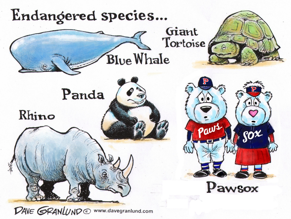 Pawsox team sold