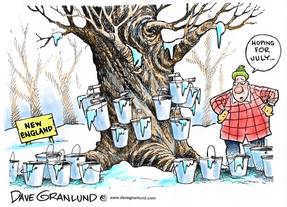  MAPLE SEASON SLOW START by Dave Granlund