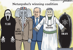 BIBI'S WINNING COALITION by Steve Greenberg