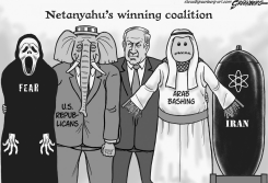 BIBI'S WINNING COALITION BW by Steve Greenberg